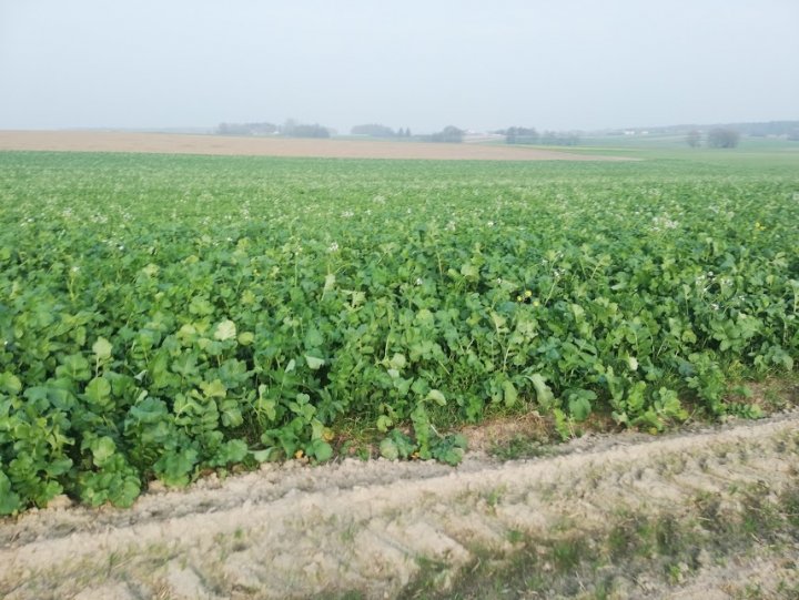 XAaNm0fNF5GiAO3QoD7IPrVD-Po034-DC5qzocXC