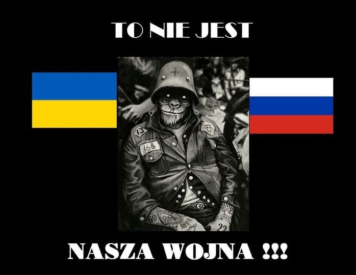 311447284_1275319436578582_6882655604079