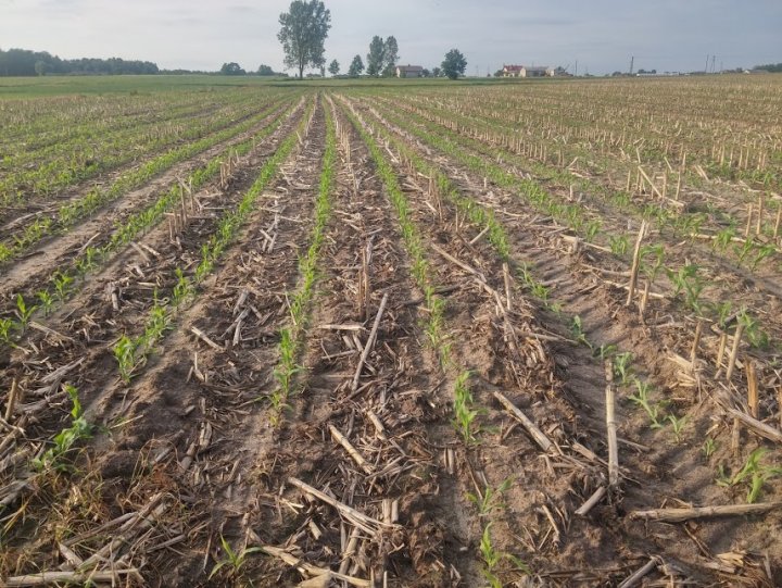 V22V3JQKPSNXqyXlFCvfUu2RedTMpRddnO2J5ZsP