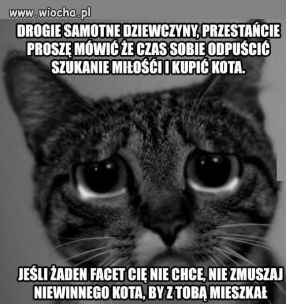 Koty i stare panny - żartobliwie oczywiście!