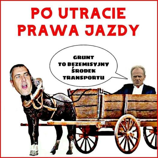 259652539_1910468705803442_6466457347664