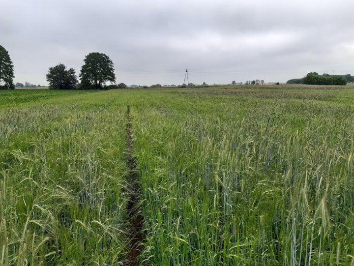 uYOjZdZyGZSkS8ErR9zpGo7dbpFKOk2xbB7vrode