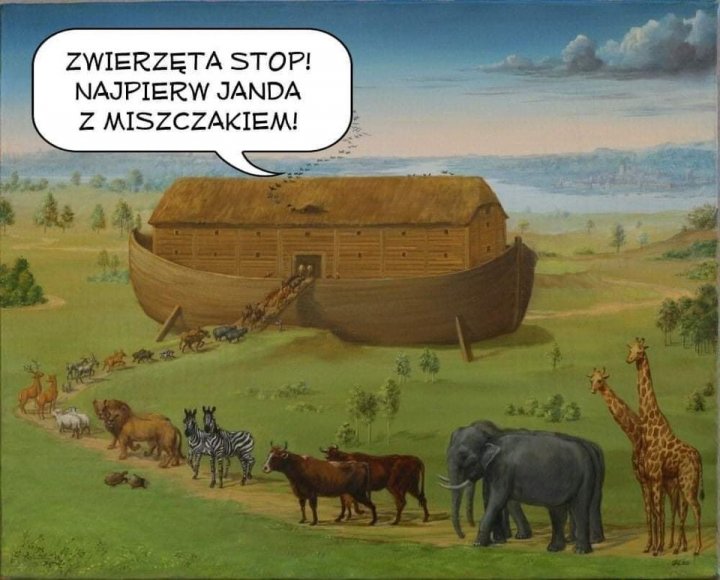 Obraz może zawierać: tekst „ZWIERZĘTA STOP! NAJPIERW JANDA z MISZCZAKIEM!”