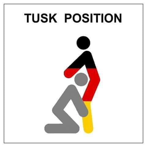 Może być zdjęciem przedstawiającym tekst „TUSK POSITION”