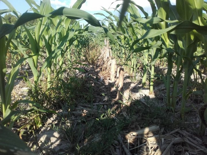 UNQCN6JDSU6FEeEaig-NzspEdAFoigzYyilffvZanSUkG0eRpgLAWDRDoHPzfsPSM6a9XGdh5i5fq-z_AkVaMG09A1Id7IWC97ptgFRbsQWGzDTqKoG5qz5nRsj0RxUgU06oUO6PVuoAFkhptbkpt_ysfo1sA_a_nJ9q3QsnVhDpyZ9Zdr5fCsjNcXzQrn9Hw4qGz0243M9LE2CIO-7dZJdWsNlZXTEKcDeZg10aFFZYeXloMWM3zXVXkjsF9WkhskzTPXRej8got0n80sqkIPIu30xPZPjh-nTvCOgvRomYkc24wTSvqpE5sqnSMx_1WqBRnY6OqzE2JP1kBYdb-WKQVyi9Y26drzSwmmuHgq3mF5e4CboBwnjnJb2JFD66aSHhUBBSzALssvTuDRtYIi7-3LIe-osjr_5ltz3MMihUAPM93QCiKE2Un2s3mOHwhk22b6stzwPuJyqQyDo5d4OMhSu5QiCdu6--W8a7ck0DAw7Uq7UWhloRZzHOix7ZaLj3ugiHwpiOqmXhU3wzoMhOyficaF2hlq27smRG28l28_crDRX8sFxmKZjc7miD6HKRzjWUl005B0vM0EB_AGg7AhKhmCcbliZKDdV70ZjS8w44I6yI5TFOKpuurjkxT29whtOREUFyNg8GwiFg_I6zuTwvDdxC4KdgXxBCzI_huhw6NvJvbVI=w876-h657-no