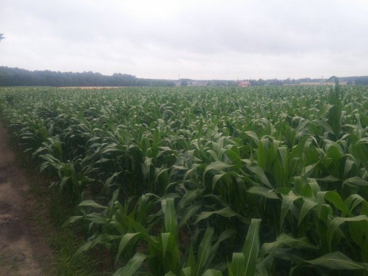 0Iw5-ASWPb6LV59ltSPlSy1uQOw7M1F8qlcjPJw6