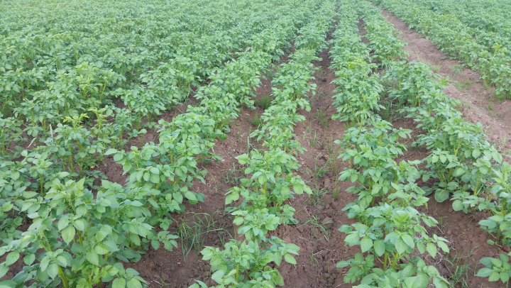 AJFCJaWLqJ8dDX3_RWJAaOQcSnmU6w98-C38aAte