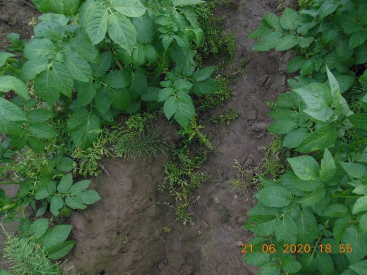 AJFCJaXz6VAkqhVV2DC8crmARZ-Q6dbfz40aJHYg