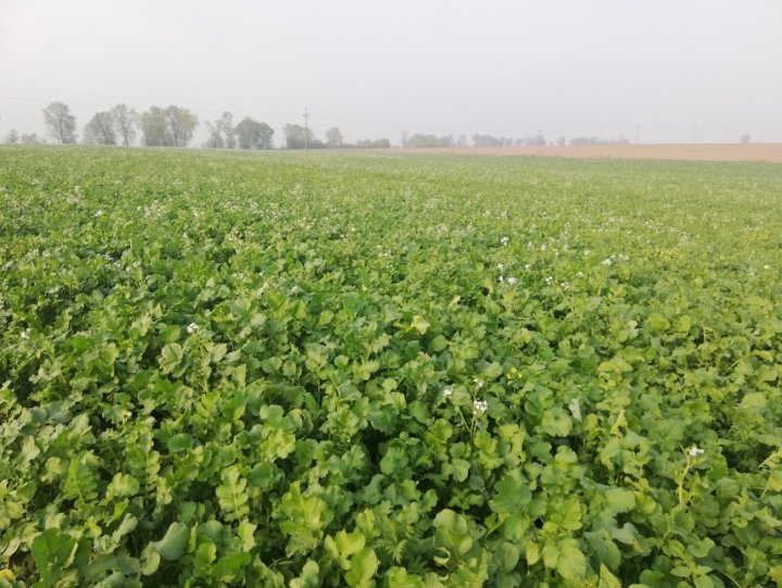 QK8FsIMqiVwl2aJk1CMpodhKJxZ1rWK_LKDfKcYj