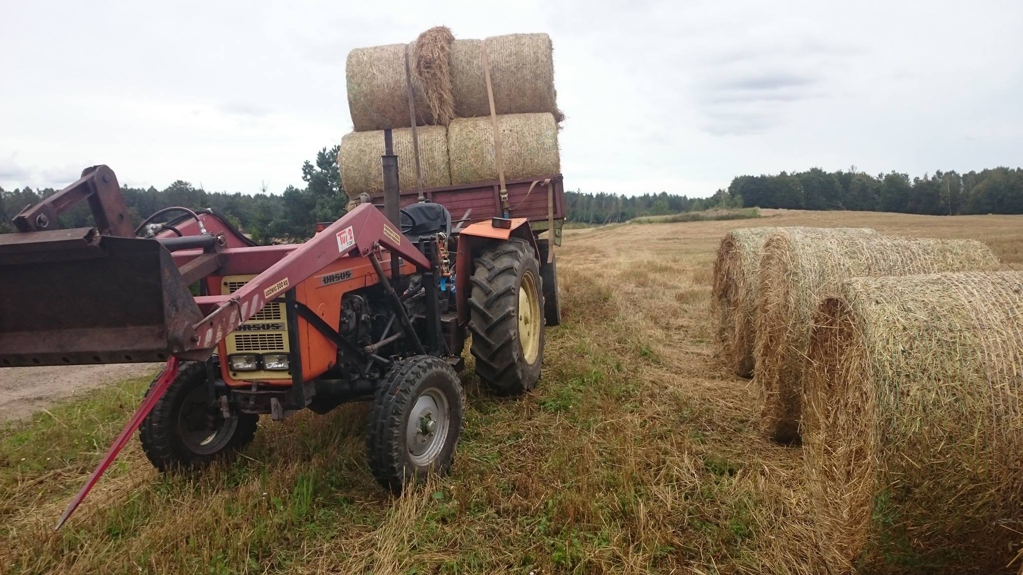 Zdjęcie użytkownika Karol Głodowski.