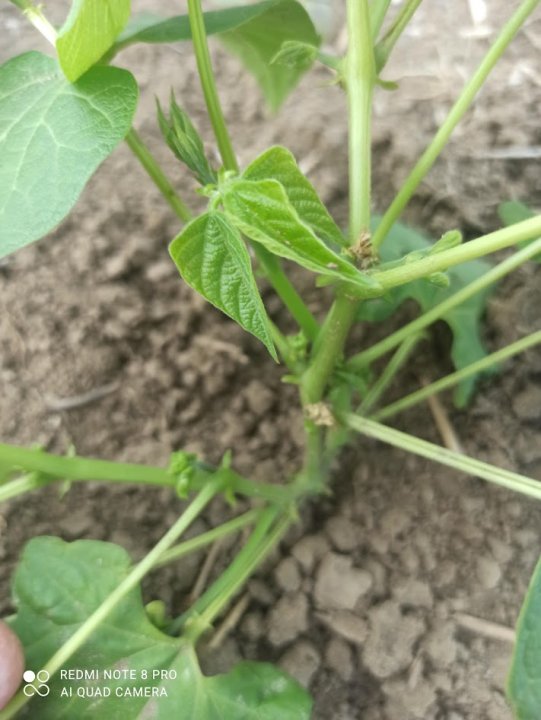 AJFCJaXxeyyUROkgNGTKDAXlbDnAIhqAGtkHvAfg