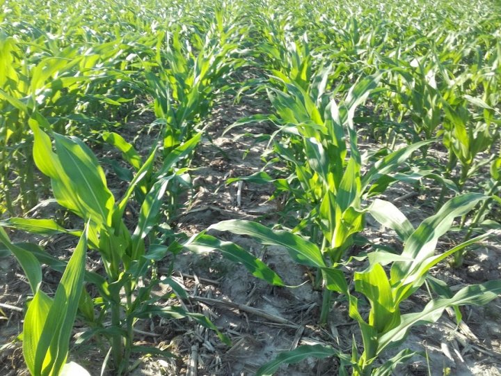 QnzP20TUQMoRkcQWgBKykfG7GfAGQlYJfoTJgtxeGmAOtyyBsccw_Pr_GxEnTr4yq8ex-QocR2gDC4RuxiHKjv2r903nXUdHzN1H1jZMe2pq5flnPVJEOJgWtg8s_hP5rLOBOmyMG0QGV-S9hKxUjT8pUtbVLcvlqtoPAjC8i3Wx-8PAQPWJp24BU_udls0QuFqzlMhKiaYoVXzefMvTLA9iFRibdKcDavSwA546u7qjnscchWLNm8VRo3U1blM3PZA1AoCnkL0dvaLu_5rH3MminTJzrL_ypWRrY-5zJ__95KzLibNB6oP8Gt4_mL63k8b9ZqcVVRW13sG0qiaYkUI37ywKwv6AI3URVGJvDcejlT2p5adbUUSnEat9TaaAbjD2oYW-YE8slScYEUGIM9zPqSBXCQqoQ_tXR_8BbdYiGKJdhS-UbT3ncvXG-0OMXtbhnDhBc_gMhObe1GTiwRBWWudrb7lEsT31EySrntt_PLpLhLY6cdMXaPOmhSxo0fZoQX4mtq2OvR7oQ4X6dc6XCHODkuLmcDSbl1zct8e46PGhF2llHkm95q9xj6h2uOTQljfIgjzmvvf7UidHZomcEnbO8_3_DFozjssLKWX404-GkZ9eq7FXtsnt6Gu4EfrA3z0tAAoNdht1IpneRsjfBhIK92F_Nk7aIw6kAPZyWvEuDFFQ6bE=w876-h657-no