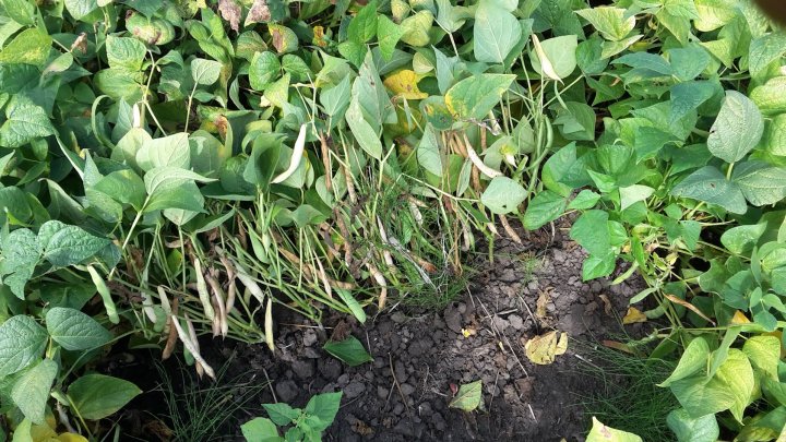 AL9nZEVjaRvFDzHS_Sd9MsvAEATxeNucV_JeXKV1