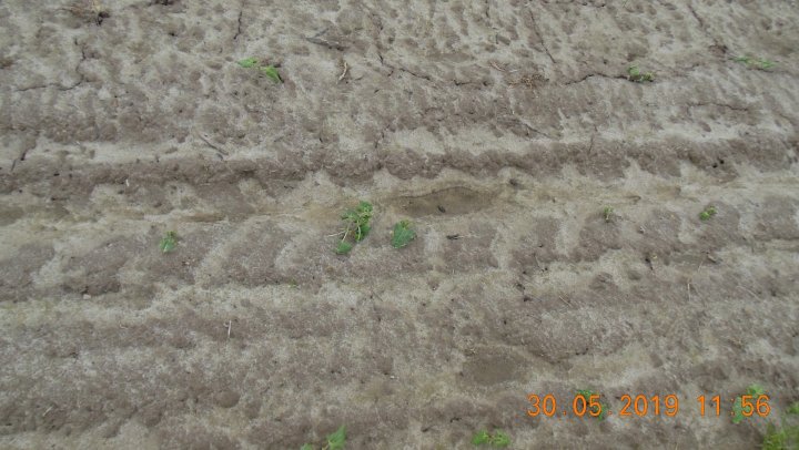 AJFCJaVmHwjSOT45GtdYFOxOpHkY-FL1pIusxvC9