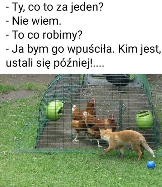 240801174_757529345645784_55356186398314