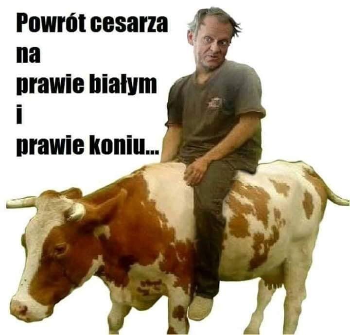 46516240_544197026006619_805817587219824