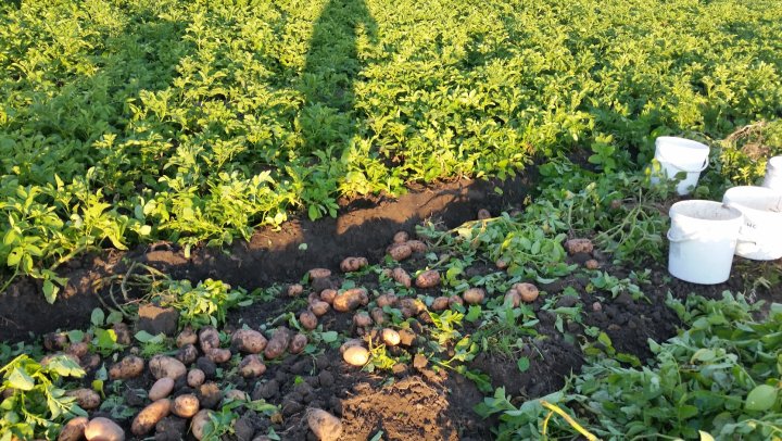 AP1GczNHpkAxPveqxZVwci3TZyzmCVPuOSbj2dO-