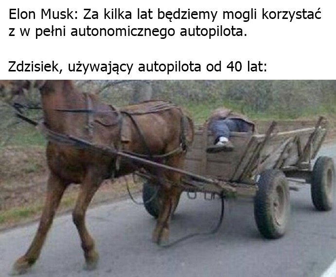 Może być zdjęciem przedstawiającym tekst „Elon Musk Za kilka lat będziemy mogli korzystać z w pełni autonomicznego autopilota. Zdzisiek, używający autopilota od 40 lat:”