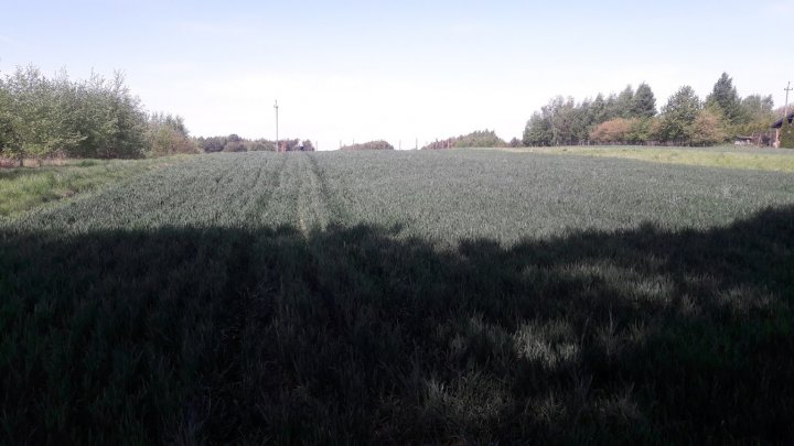 dz-A7-2zBTyvOP-fxixK5a80i9gEGO6RgHimIbCJK8K_eSNwz2cnGRTKMOx38h9PqpUOHox-fpbGJmIUnxHXAVahCz-FFShXF8D_Z3XulTEkvLpIYkiub8dXvUb-yzbfUJ8Qt_0EhfqxnPszjqeWLS2WuDOZAU9iwW_qh6ie6mjmajkFEyHUWmLsByuJ51emBNn0We9GtO_OnER3l25zsEPLcy5Fru8e-cyGJmHeXKx4i7puqY3-aFux-He8CEMN35TzJdH4btvP8pnz8C_X8M0_SjC8n2IPeDoE_rQQUSF6ZgS7ezdrvmIvf-YMOjYfzh69pYGDtJQpPI5HWAgNwiXAL8rcr1USwjClBuJ52FTRGY74H5Juh-tbGwC6wbl9JDr9NrcA1oV-7pW1hlq5JLBAszR3v-zwVimVpCgzP9QIrOfU2KqMyNGskaJ1AGzf8xvnp9biazBkQwIYSLB4QPF7Ag-QOiQnADFrB1JxK6PFtoADYDJASnnUIEoM9m6QT_Esnpo5NqDJORsLPcVP_qnec5swqqUt2Rdd8O_scehWdm8WskvZ3YEFUcum92JksdwxAQ7Vn-hHxJNu8KdEJHvIEa0jO-7Zlru66NB_eIcFkkyi1IMqarTzWUHGkeCCqJc2vQa26KCH-qqDj1opWSTaMhE0BTUpxRLUreSv0FBUERa14ZrzuvX076PtpA=w1346-h757-no?authuser=0