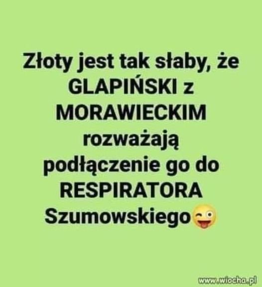 Może być zdjęciem przedstawiającym stoi i tekst „Złoty jest tak słaby, że GLAPIŃSKI z MORAWIECKIM rozważają podłączenie go do RESPIRATORA Szumowskiego www.wiocha.pl”