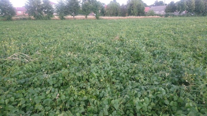 5n-IKV4jaPCm0uznnlrXgL-Sp5AGuJ8fIjMMNBVa