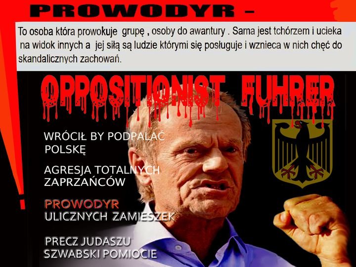 245092360_4732293930138593_5460178034407