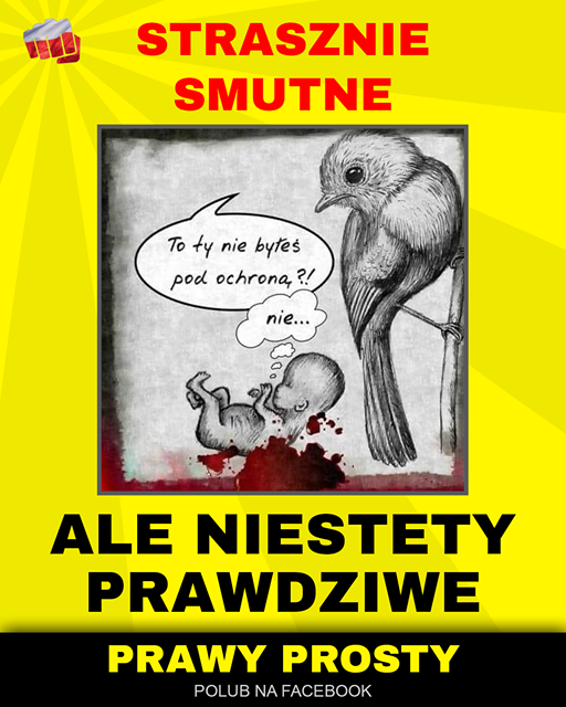 145627909_134760561804977_36681973147032