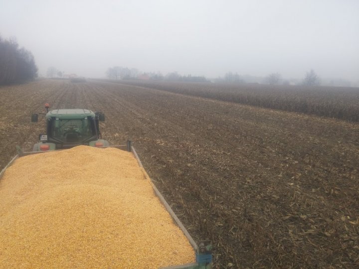 RmNWvVQyRK1JHcur3B9Bv6qw7gQEFcH4I3rr4cs8