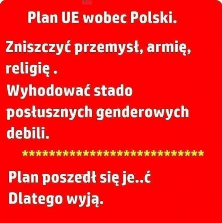 Może być zdjęciem przedstawiającym tekst „Plan UE wobec Polski. Zniszczyć przemysł, armię, religię. Wyhodować stado posłusznych genderowych debili. Plan poszedł Planposzedłsięje..ć się Dlatego wyją.”