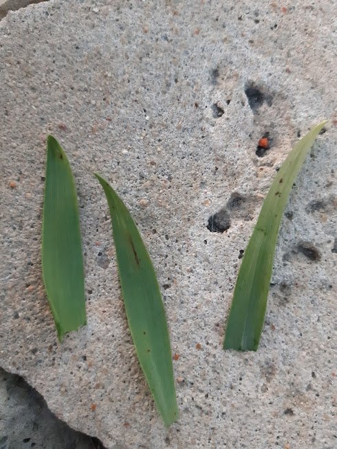 ohQKIKY1jUl43iFw6NxI9z9RKjzryLQzS7uAc5_V