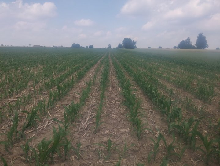 Z-gSsU2iHdYoMufoB7SuHTYVFhrPigIzrgC3h5Nx