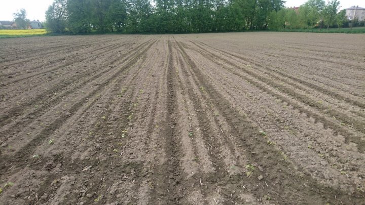 WNgFbZOrB9s6BnsN1MxT81103Q3YBRs0Fi8Yq4SO