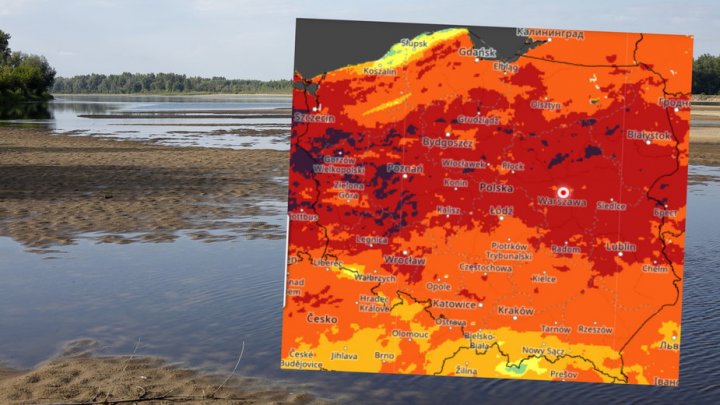 W Polsce jest bardzo sucho. W lasach panuje ekstremalnie wysokie zagrożenie pożarami (mapa: IMGW)