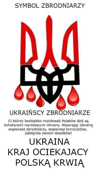 308921981_5430656537016382_7896158332639