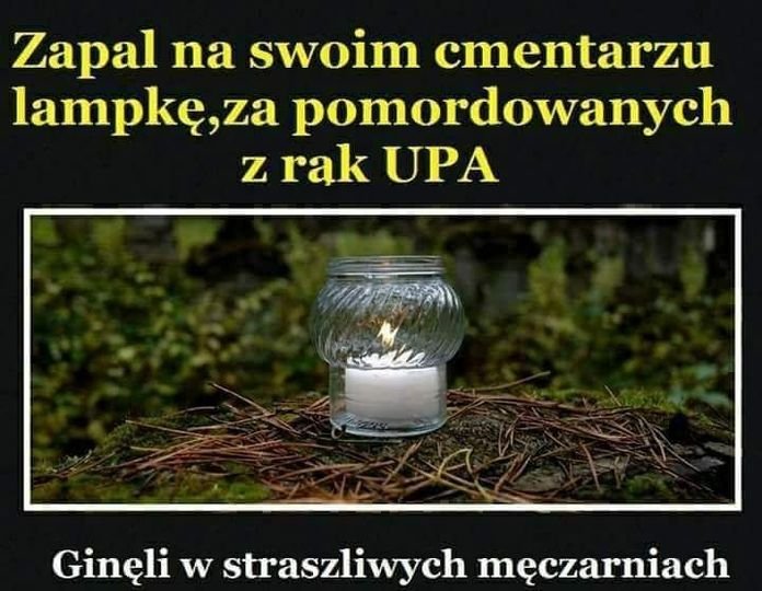 273416840_4900706590007182_8190246699759