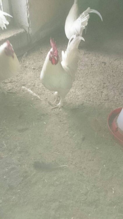 Obraz moÅ¼e zawieraÄ: na zewnÄtrz