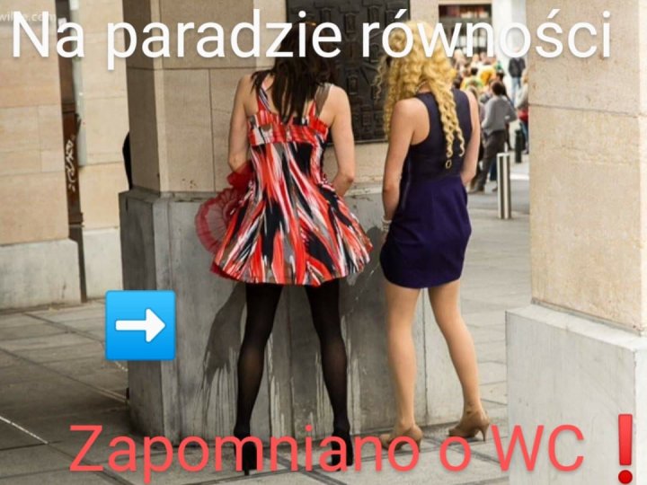 206211946_163312222512382_13240186165042