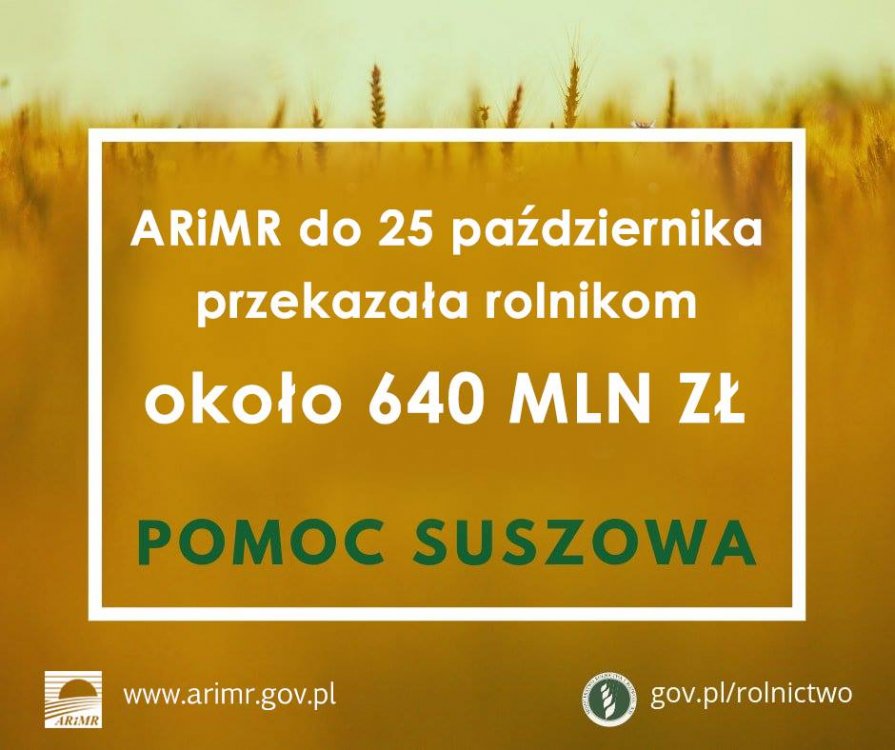 43744329_1685197544919930_75520384963329