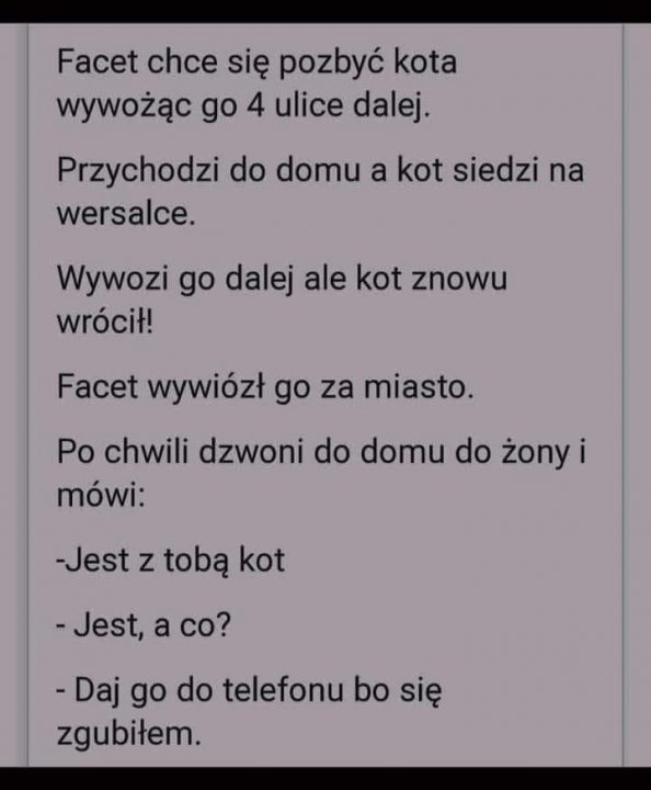 Może być zdjęciem przedstawiającym tekst „Facet chce się pozbyć kota wywożąc go 4 ulice dalej. Przychodzi do domu a kot siedzi na wersalce. Wywozi go dalej ale kot znowu wrócił! Facet wywiózł go za miasto. Po chwili dzwoni do domu do żony i mówi: -Jest z tobą kot -Jest, a co? -Daj go do telefonu bo się zgubiłem.”