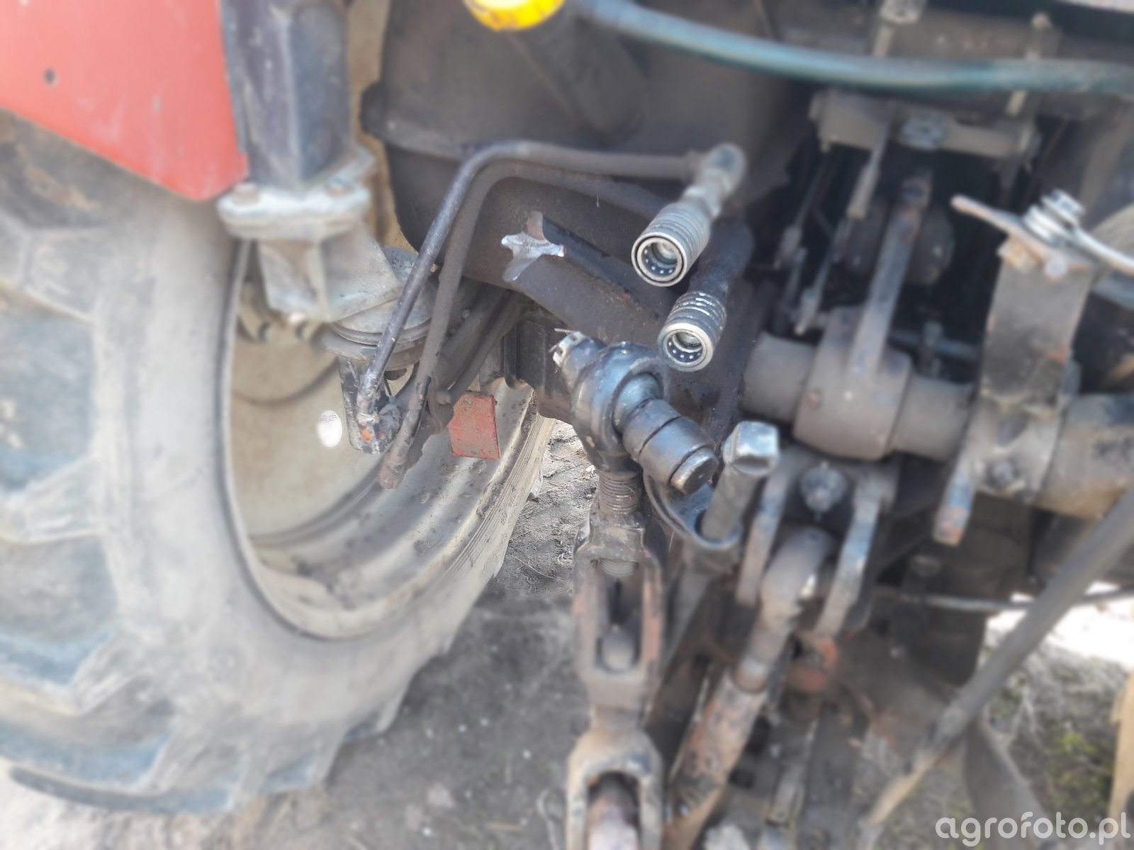 belarus_l_b09d6e675867298439f4cb16cd01cd