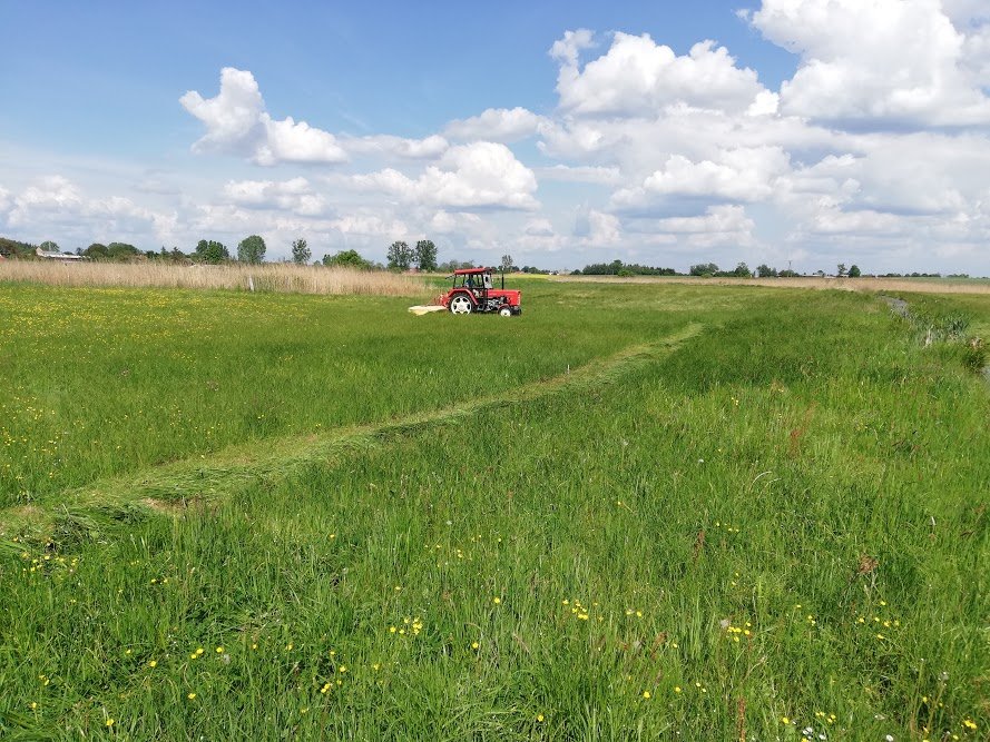 8wC7cD_dfIV4lUviVKFLSWnihWByJc8FxfheYFrb