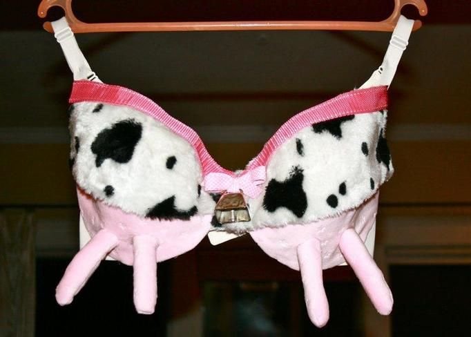 Najdziwniejsze biustonosze świata! Słodkie, przerażające i niezwykle  efektowne (GALERIA) | Papilot