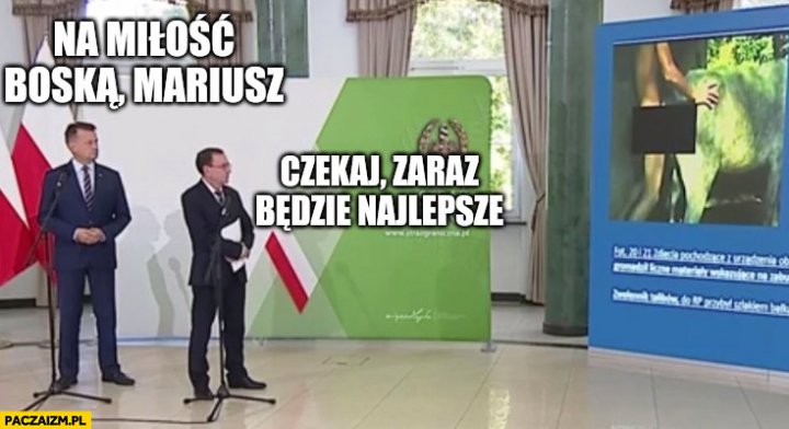 Mariusz Błaszczak memy – Paczaizm.pl | memy polityczne, śmieszne obrazki,  dowcipy, gify i cytaty