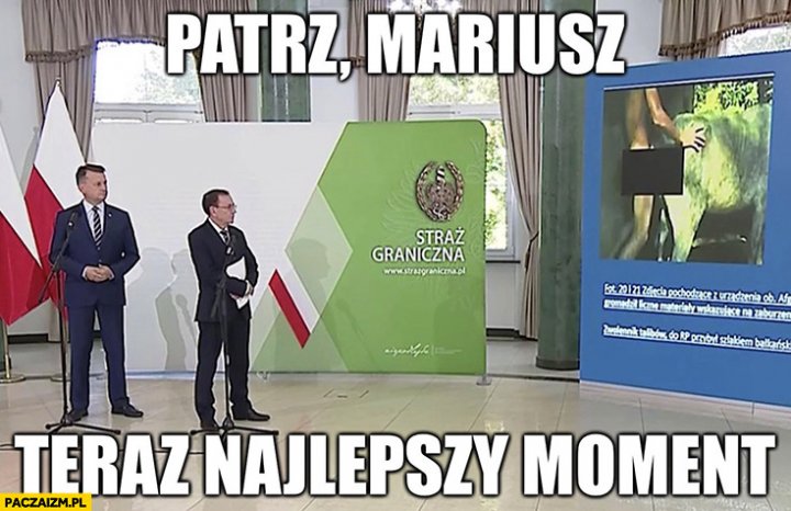 Błaszczak Kamiński patrz Mariusz teraz najlepszy moment straż graniczna  konferencja prezentacja facet z krową - Paczaizm.pl