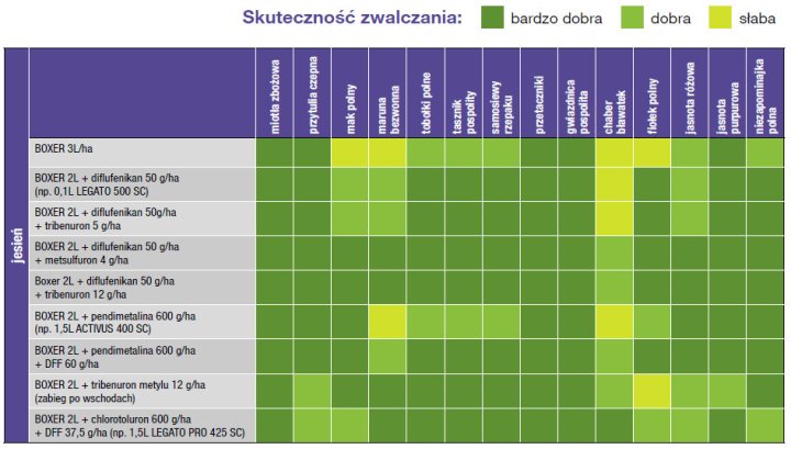 BOXER w mieszaninach - skuteczność zwalczania