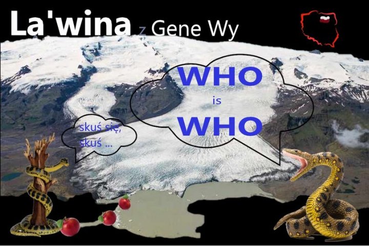 273966207_346130260736463_99170675299971