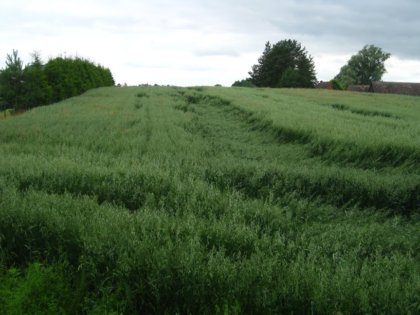 zCGLYabYSkdiPwfwyMOEyodKGKIZQqSlv6RmIwfE