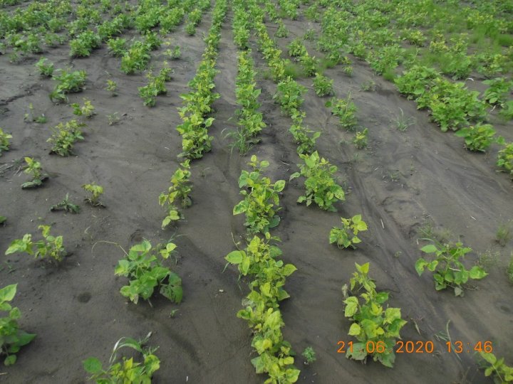 AM-JKLUGeytF5bWrducTL9gmQ_-3mpsm4OELs3cO