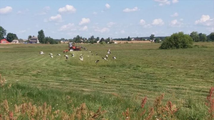 ChomikImage.aspx?e=lgr_bHJsUHZHthHfDHZ2S