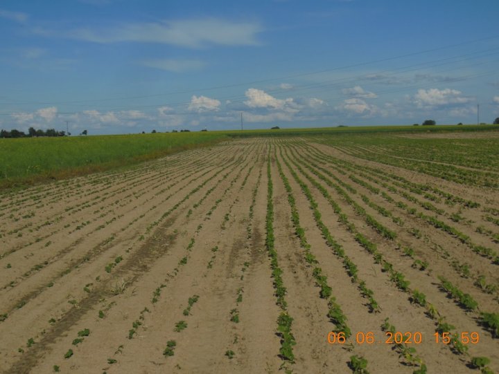 ACtC-3dDTeVwKhOT2iJYmJ9f9Ob1-aDEqV06cdbY